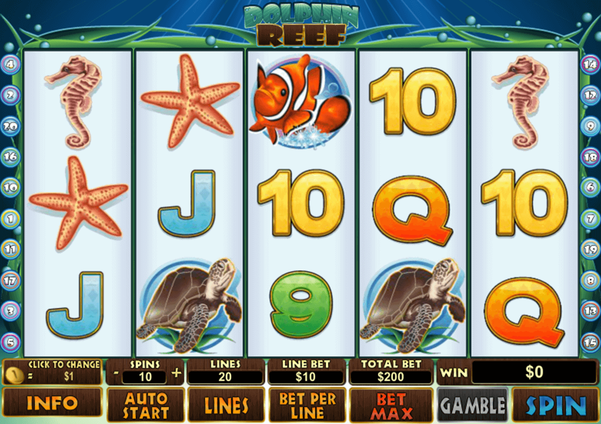 https://ufabet3688.com/play8/dolphin-reef/